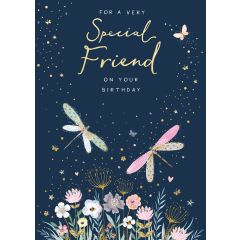 BD, Special friend - 5x7