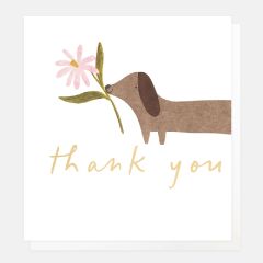 Thank you, dog and flower - 5x5