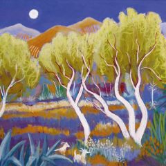 Ghost Trees Mallorca - 6x6