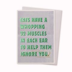 32 muscles, Cats - 5x7