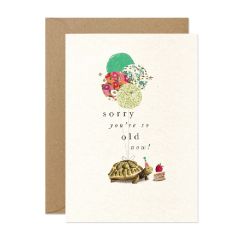 So old now, tortoise - 5x7