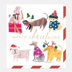 Merry Christmas, dogs - 5x5