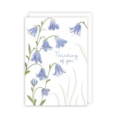 Heartfelt sympathy, lillies - 5x7