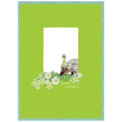 Happy birthday, hedgehog - 4x6