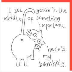 Bumhole - 6x6