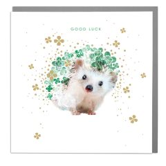 Good luck, hedgehog - 6x6