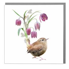 Wren Bird - 6x6