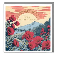 Special friend - 6x6