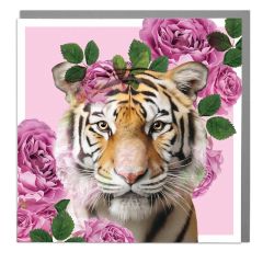 Tiger, Roses - 6x6