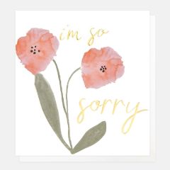 I'm so sorry - 5x5
