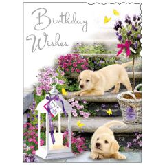 Birthday wishes, puppy - 5.5x7.5