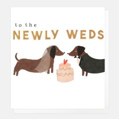 Newly weds, dogs and cake - 5x5