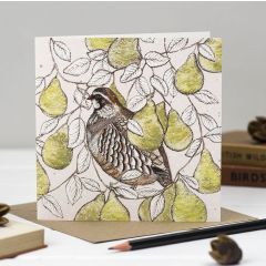 Partridge and Pears - 6x6